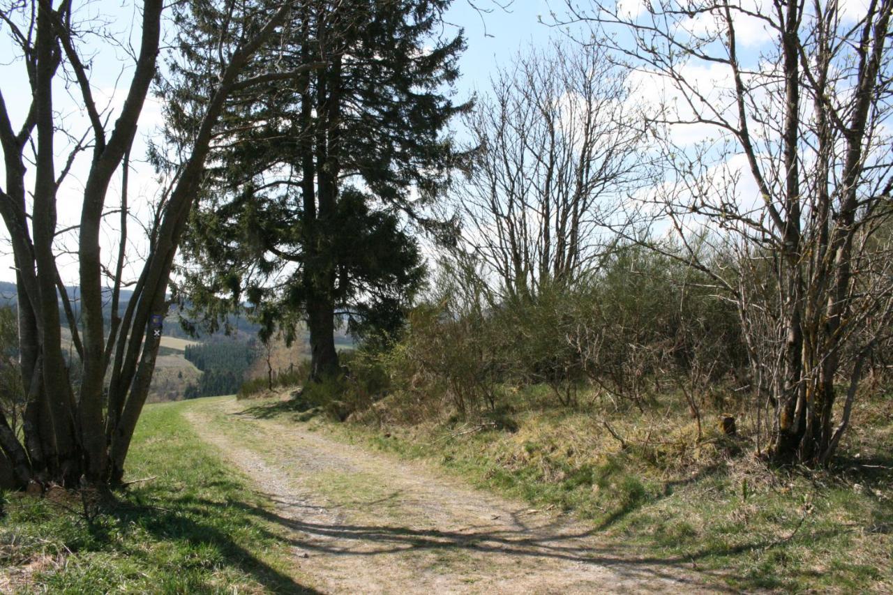 Ferienhaus Zur Ennest Schmallenberg Eksteriør billede